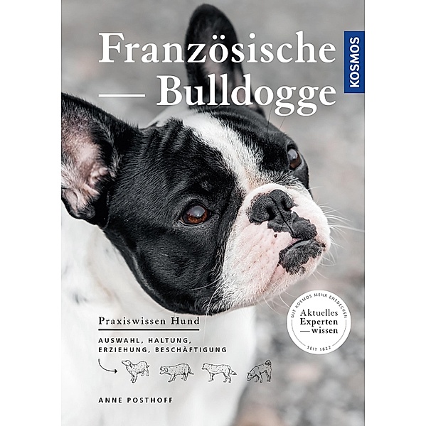 Französische Bulldogge / Praxiswissen Hund, Anne Posthoff