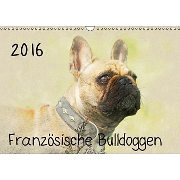 Französische Bulldoggen 2016 (Wandkalender 2016 DIN A3 quer), Andrea Redecker