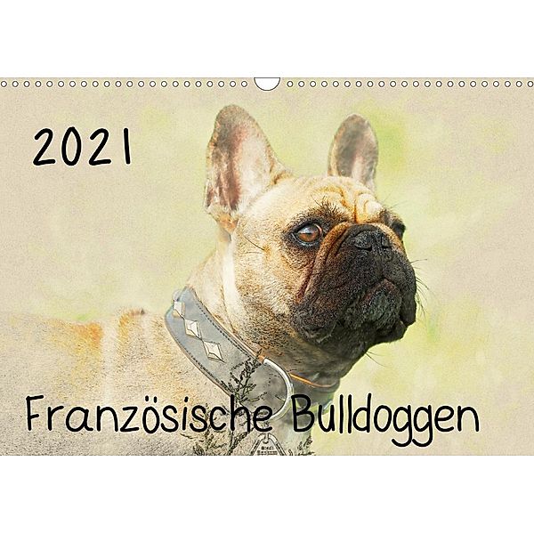 Französische Bulldoggen 2021 (Wandkalender 2021 DIN A3 quer), Andrea Redecker