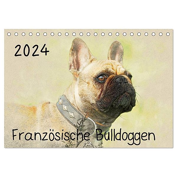 Französische Bulldoggen 2024 (Tischkalender 2024 DIN A5 quer), CALVENDO Monatskalender, Andrea Redecker