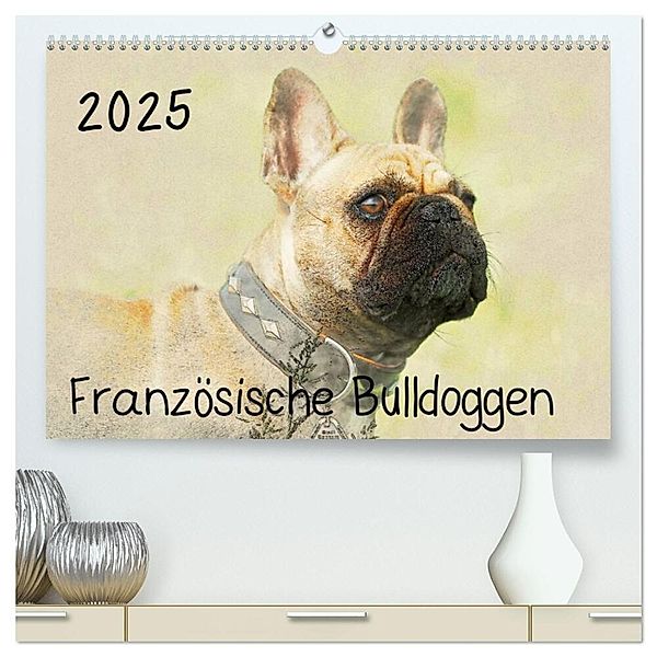 Französische Bulldoggen 2025 (hochwertiger Premium Wandkalender 2025 DIN A2 quer), Kunstdruck in Hochglanz, Calvendo, Andrea Redecker