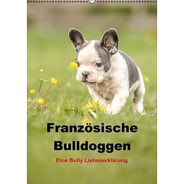 Französische Bulldoggen - Eine Bully Liebeserkärung (Wandkalender 2015 DIN A2 hoch), Yvonne Obermüller