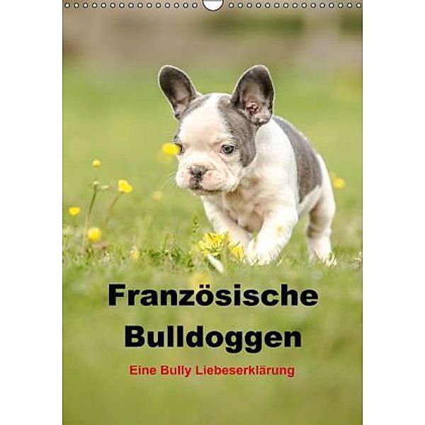 Französische Bulldoggen - Eine Bully Liebeserkärung (Wandkalender 2015 DIN A3 hoch), Yvonne Obermüller