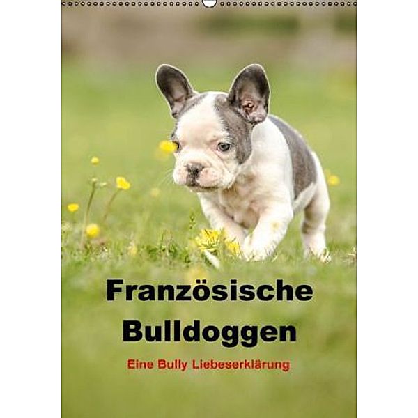 Französische Bulldoggen - Eine Bully Liebeserkärung (Wandkalender 2016 DIN A2 hoch), Yvonne Obermüller