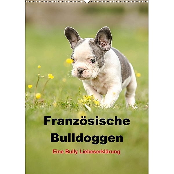Französische Bulldoggen - Eine Bully Liebeserkärung (Wandkalender 2018 DIN A2 hoch), Yvonne Obermüller