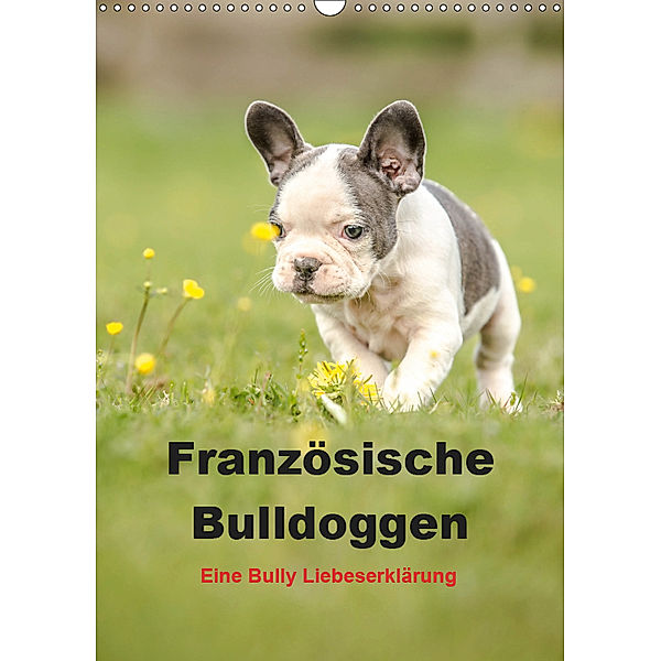 Französische Bulldoggen - Eine Bully Liebeserkärung (Wandkalender 2019 DIN A3 hoch), Yvonne Obermüller