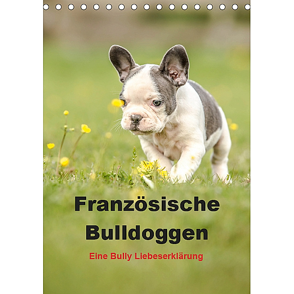 Französische Bulldoggen - Eine Bully Liebeserkärung (Tischkalender 2019 DIN A5 hoch), Yvonne Obermüller