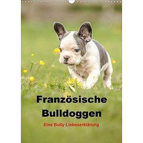 Französische Bulldoggen - Eine Bully Liebeserkärung (Wandkalender 2020 DIN A3 hoch), Yvonne Obermüller