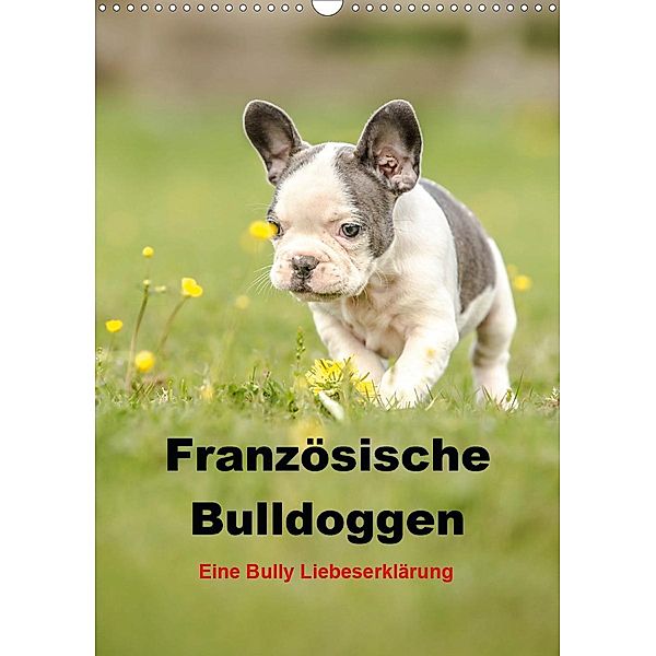 Französische Bulldoggen - Eine Bully Liebeserkärung (Wandkalender 2021 DIN A3 hoch), Yvonne Obermüller
