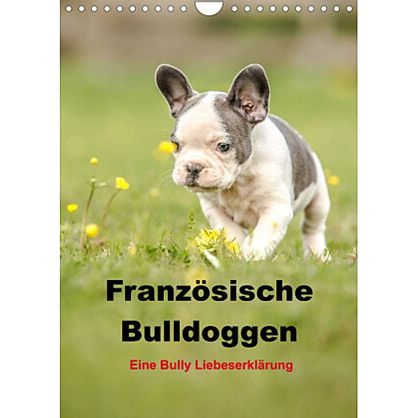 Französische Bulldoggen - Eine Bully Liebeserkärung (Wandkalender 2022 DIN A4 hoch), Yvonne Obermüller