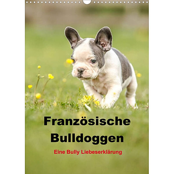 Französische Bulldoggen - Eine Bully Liebeserkärung (Wandkalender 2022 DIN A3 hoch), Yvonne Obermüller