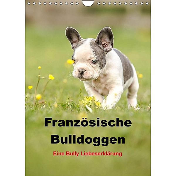 Französische Bulldoggen - Eine Bully Liebeserkärung (Wandkalender 2023 DIN A4 hoch), Yvonne Obermüller