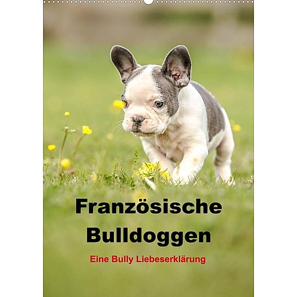 Französische Bulldoggen - Eine Bully Liebeserkärung (Wandkalender 2023 DIN A2 hoch), Yvonne Obermüller
