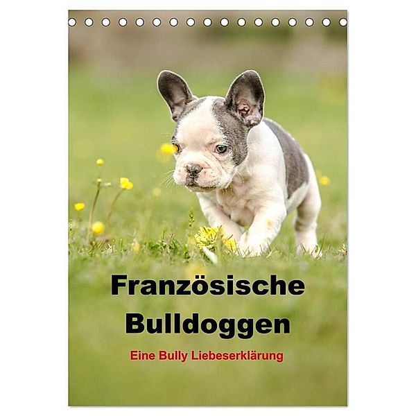 Französische Bulldoggen - Eine Bully Liebeserkärung (Tischkalender 2024 DIN A5 hoch), CALVENDO Monatskalender, Yvonne Obermüller