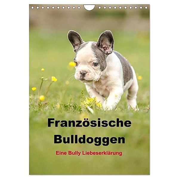 Französische Bulldoggen - Eine Bully Liebeserkärung (Wandkalender 2024 DIN A4 hoch), CALVENDO Monatskalender, Yvonne Obermüller