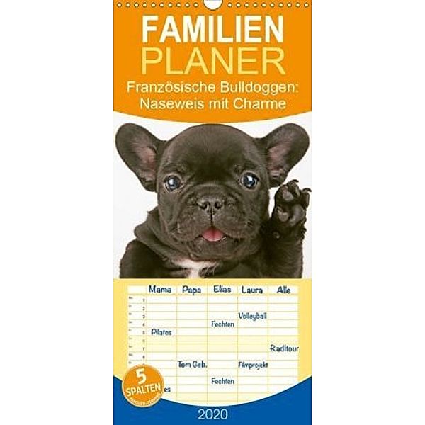 Französische Bulldoggen: Naseweis mit Charme - Familienplaner hoch (Wandkalender 2020 , 21 cm x 45 cm, hoch)