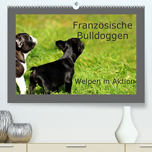 Französische Bulldoggen (Premium, hochwertiger DIN A2 Wandkalender 2022, Kunstdruck in Hochglanz), Heike Hultsch