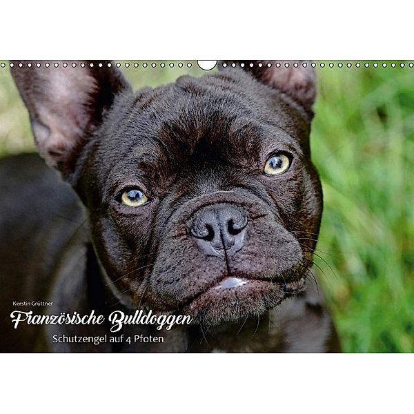 Französische Bulldoggen - Schutzengel auf 4 Pfoten (Wandkalender 2018 DIN A3 quer), Kerstin Grüttner