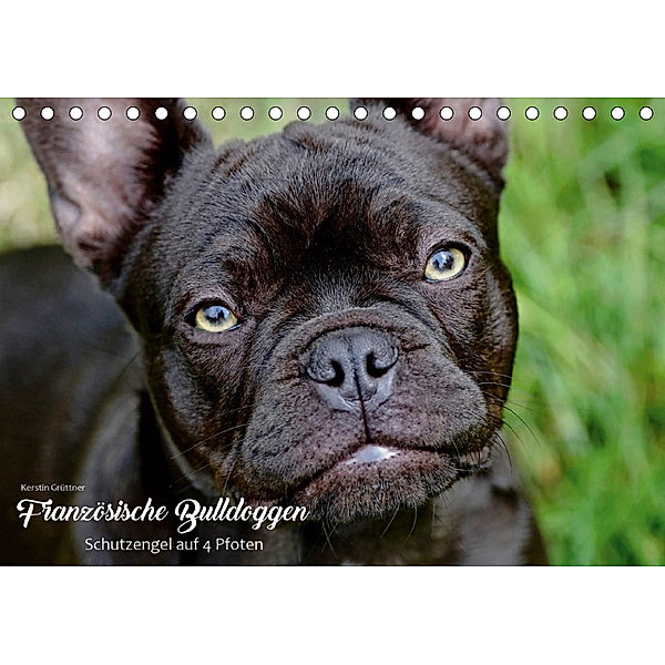 Französische Bulldoggen - Schutzengel auf 4 Pfoten (Tischkalender 2019 DIN A5 quer), Kerstin Grüttner