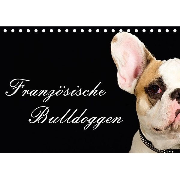 Französische Bulldoggen (Tischkalender 2017 DIN A5 quer), Nicole Noack