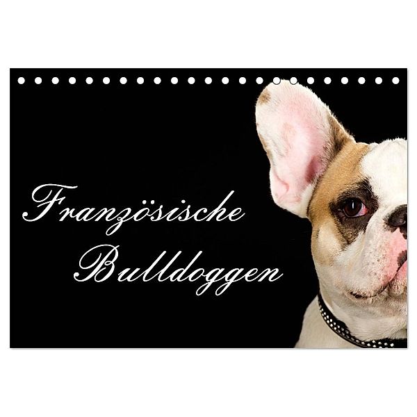 Französische Bulldoggen (Tischkalender 2024 DIN A5 quer), CALVENDO Monatskalender, Nicole Noack