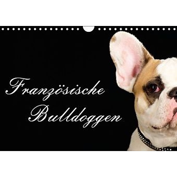 Französische Bulldoggen (Wandkalender 2016 DIN A4 quer), Nicole Noack