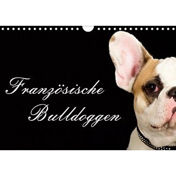 Französische Bulldoggen (Wandkalender 2020 DIN A4 quer), Nicole Noack