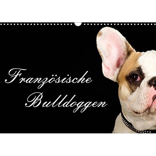 Französische Bulldoggen (Wandkalender 2023 DIN A3 quer), Nicole Noack