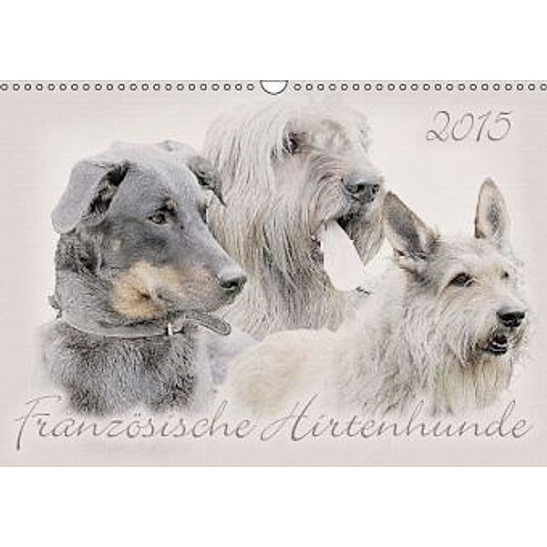 Französische Hirtenhunde 2015 (Wandkalender 2015 DIN A3 quer), Andrea Redecker