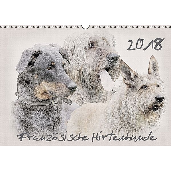 Französische Hirtenhunde 2018 (Wandkalender 2018 DIN A3 quer), Andrea Redecker