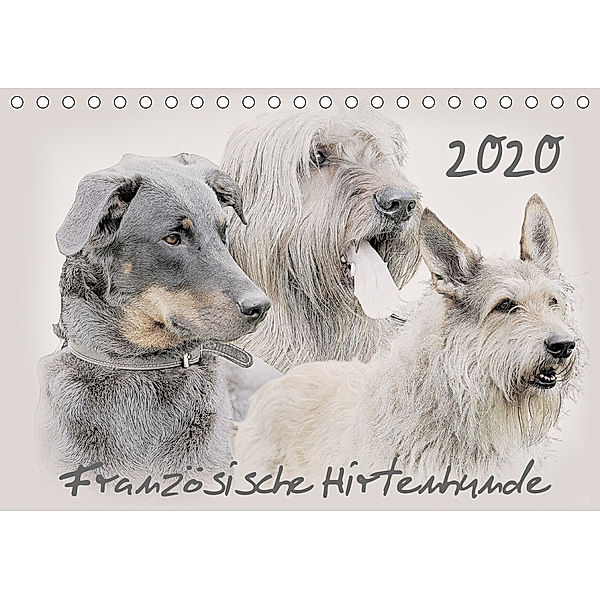 Französische Hirtenhunde 2020 (Tischkalender 2020 DIN A5 quer), Andrea Redecker