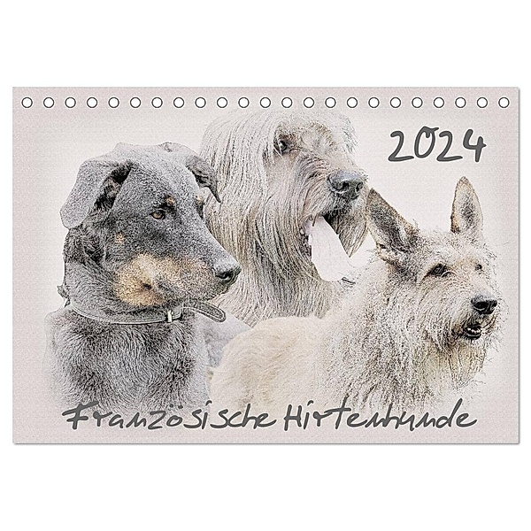 Französische Hirtenhunde 2024 (Tischkalender 2024 DIN A5 quer), CALVENDO Monatskalender, Andrea Redecker
