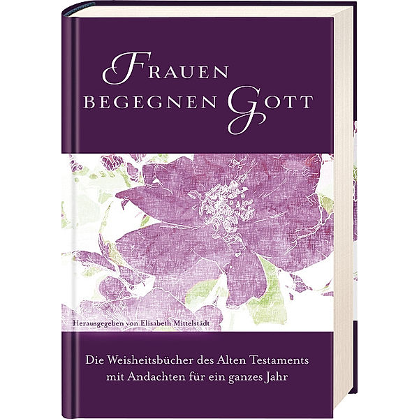 Frauen begegnen Gott - Altes Testament, Elisabeth Mittelstädt