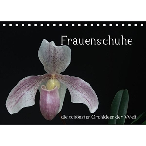 Frauenschuhe - die schönsten Orchideen der Welt (Tischkalender 2015 DIN A5 quer), Holger Rochow