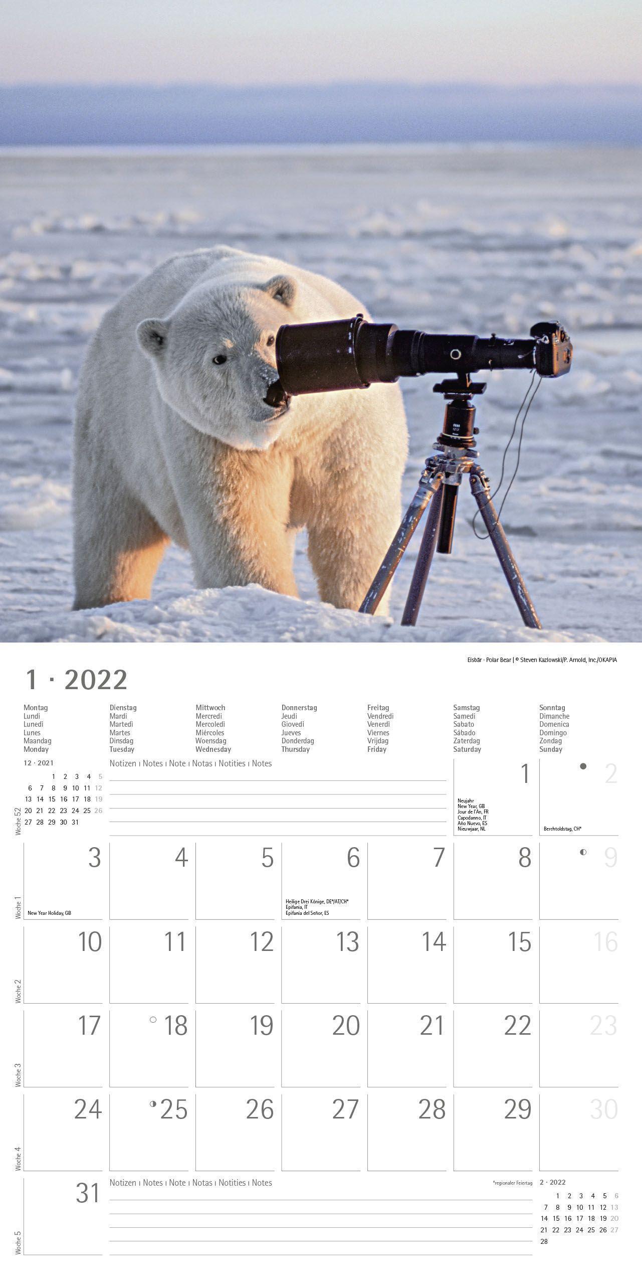 Wandkalender 30x60 geöffnet Broschürenkalender 30x30 cm Freaky Animals 2022 - Kalender mit Platz für Notizen Bildkalender Tierkalender