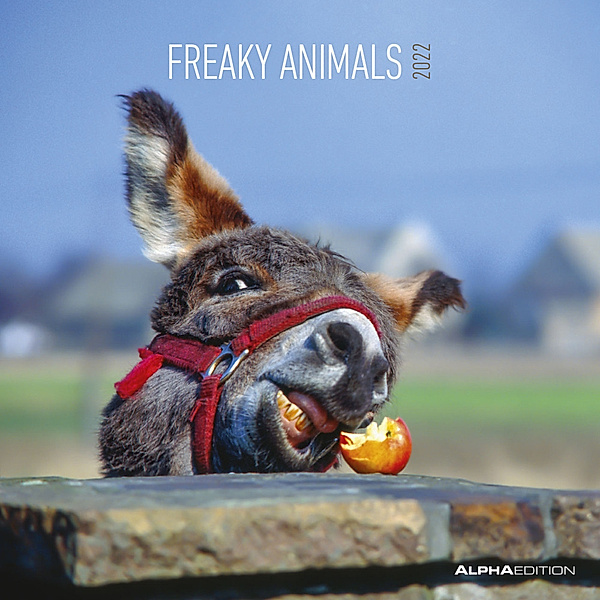 Freaky Animals 2022 - Broschürenkalender 30x30 cm (30x60 geöffnet) - Kalender mit Platz für Notizen - Bildkalender - Tierkalender - Wandkalender