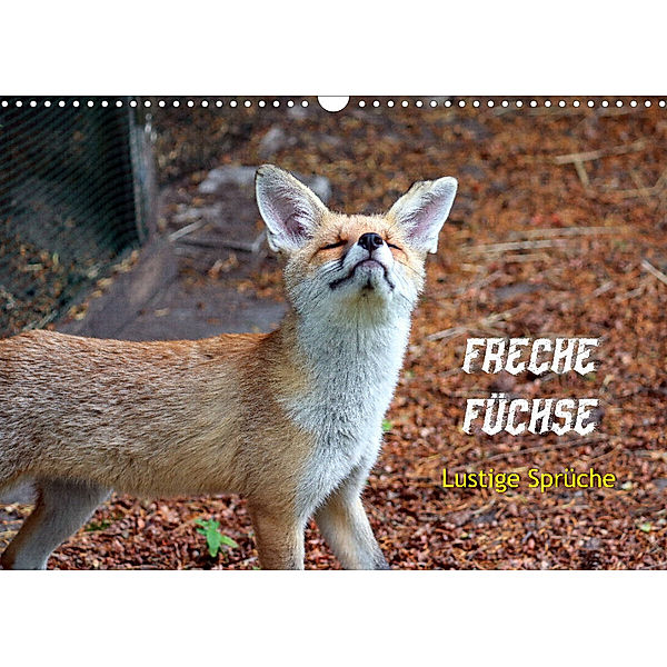 Freche Füchse - lustige Sprüche (Wandkalender 2023 DIN A3 quer), Peter Kersten