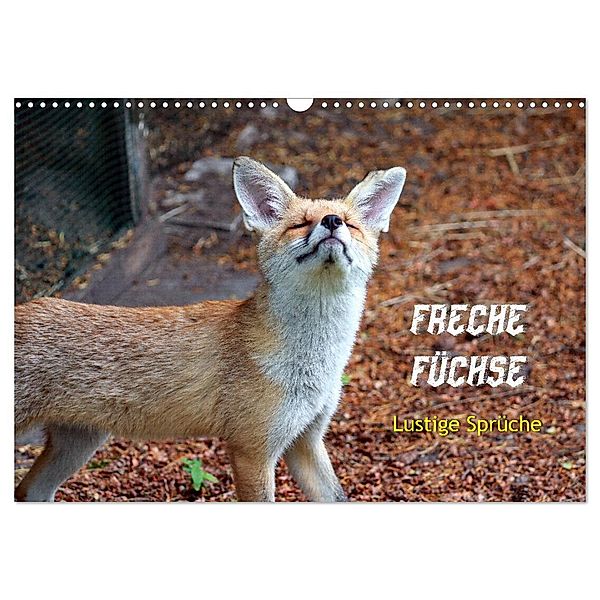 Freche Füchse - lustige Sprüche (Wandkalender 2024 DIN A3 quer), CALVENDO Monatskalender, Peter Kersten