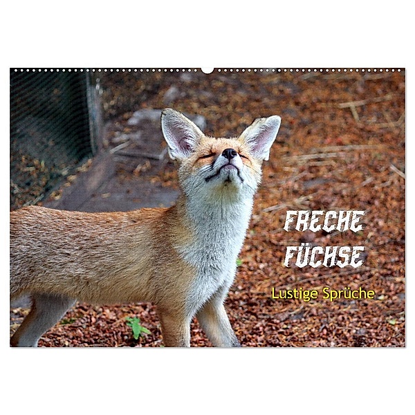Freche Füchse - lustige Sprüche (Wandkalender 2024 DIN A2 quer), CALVENDO Monatskalender, Peter Kersten