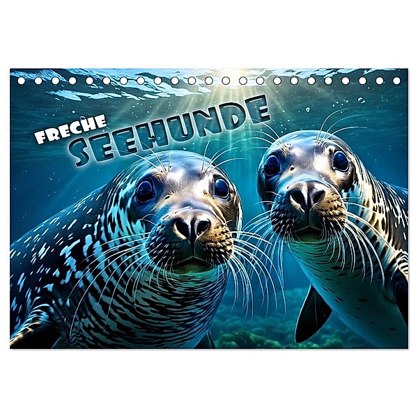 Freche Seehunde (Tischkalender 2024 DIN A5 quer), CALVENDO Monatskalender, Calvendo, Renate Utz