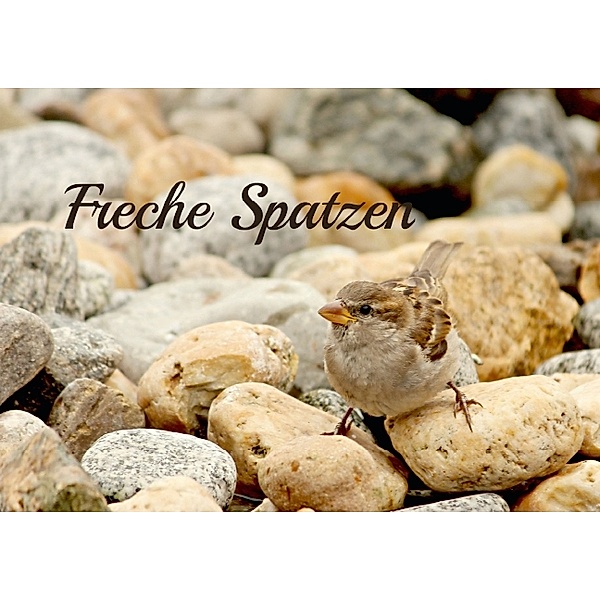 Freche Spatzen (Posterbuch DIN A4 quer), Heike Hultsch