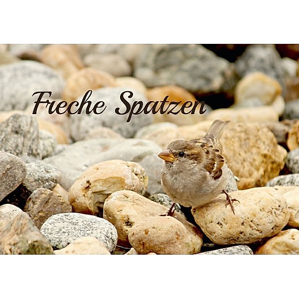 Freche Spatzen (Tischaufsteller DIN A5 quer), Heike Hultsch