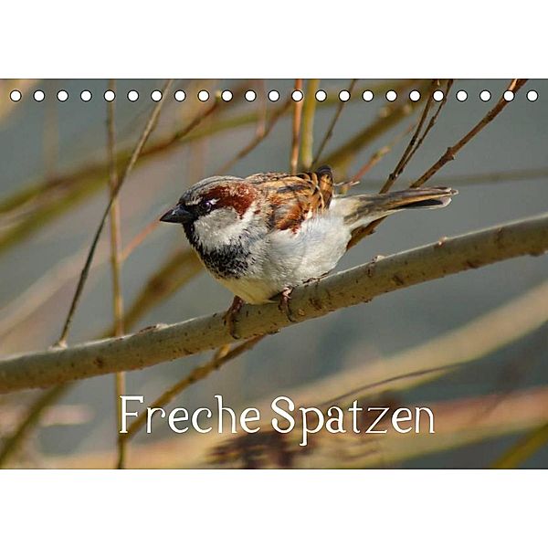Freche Spatzen (Tischkalender 2023 DIN A5 quer), Kattobello
