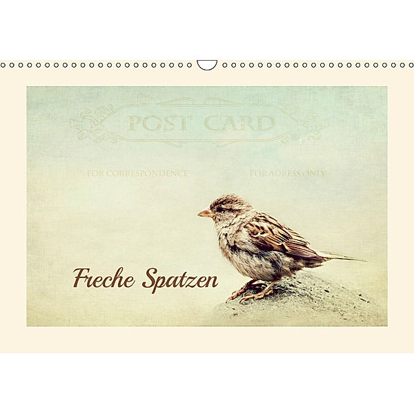 Freche Spatzen (Wandkalender 2019 DIN A3 quer), Heike Hultsch