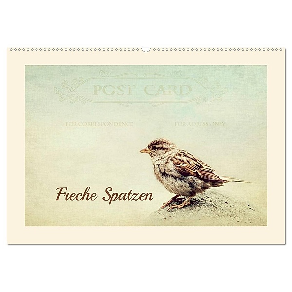 Freche Spatzen (Wandkalender 2024 DIN A2 quer), CALVENDO Monatskalender, Heike Hultsch