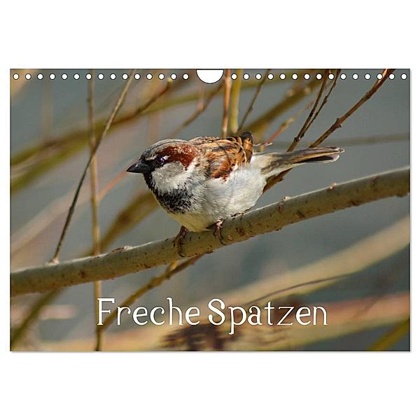 Freche Spatzen (Wandkalender 2024 DIN A4 quer), CALVENDO Monatskalender, Kattobello