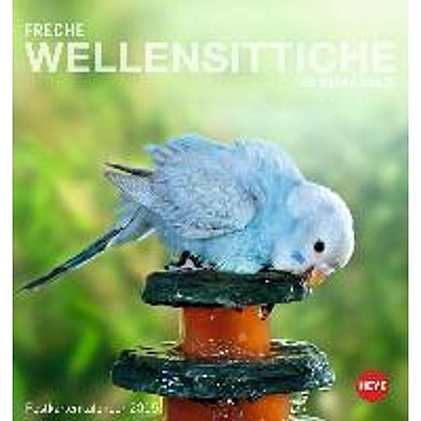 Freche Wellensittiche Postkartenkalender 2015, Monika Wegler