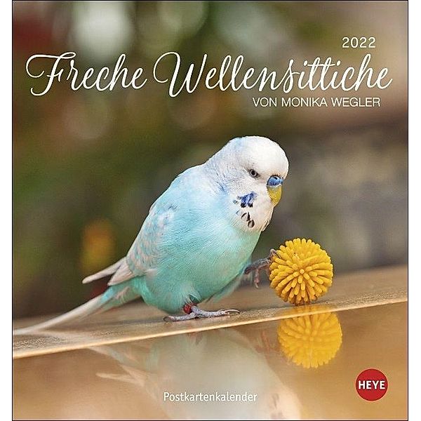 Freche Wellensittiche Postkartenkalender 2022, Monika Wegler