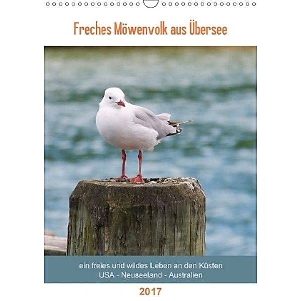 Freches Möwenvolk aus Übersee (Wandkalender 2017 DIN A3 hoch), Jana Thiem-Eberitsch