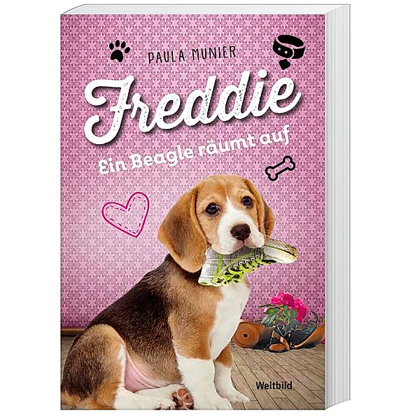 Freddie - Ein Beagle räumt auf, PAULA MUNIER